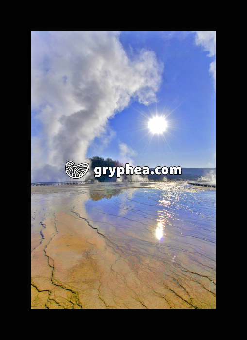 Midway geyser basin - Source hydrothermale (Yellowstone NP, USA) - gryphea.com